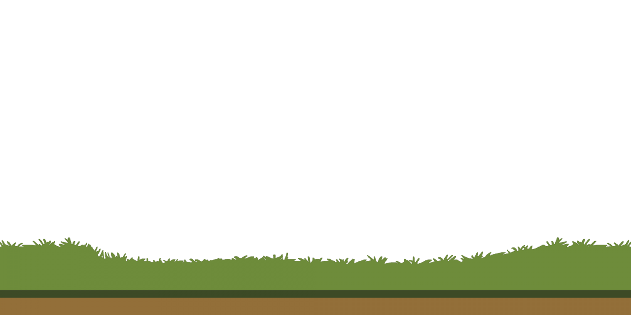 grass